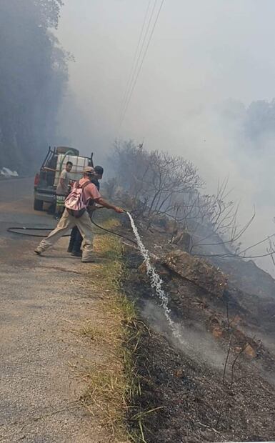 Incrementan incendios en la Sierra Gorda en los últimos días | Foto: Especial