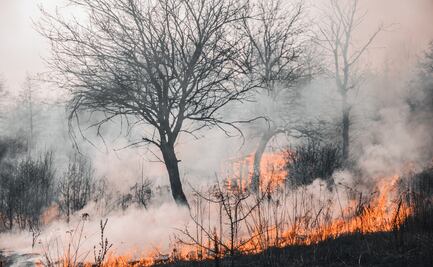 Persisten ocho incendios activos en Hidalgo; brigadistas enfrentan zonas de riesgo
