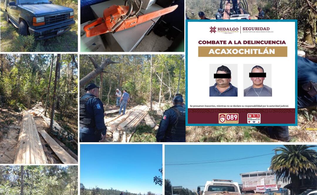 En operativo contra tala clandestina en Tulancingo se realizó al detención de dos personas Foto: Especial