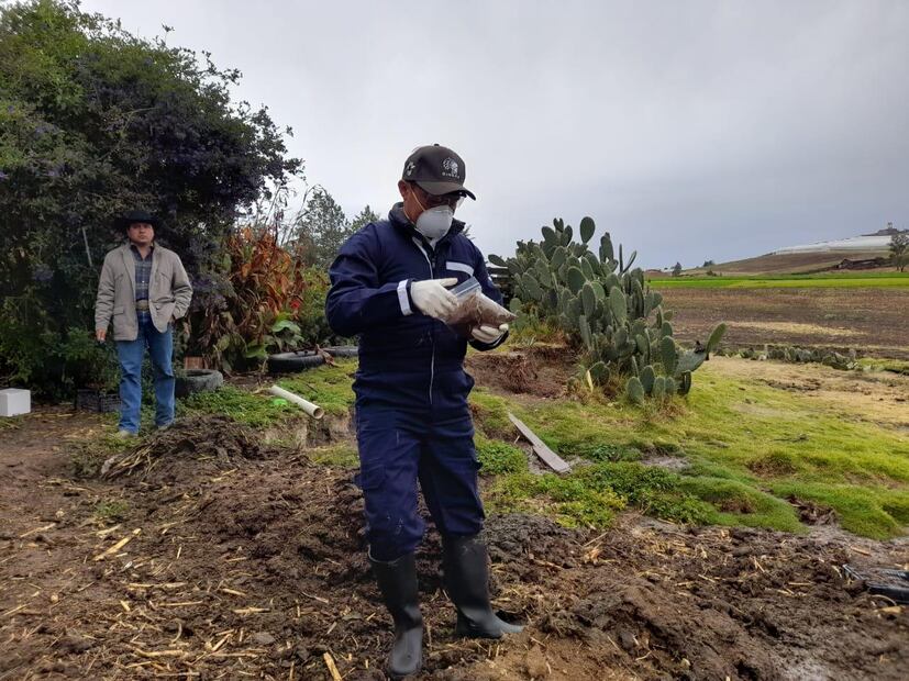 Por muerte de ganado, Secretaría de Agricultura federal realiza investigación epidemiológica | Foto: Especial
