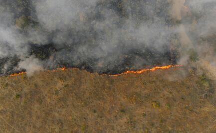 Aumentan incendios de pastizales en Hidalgo; van 86 en lo que va del año