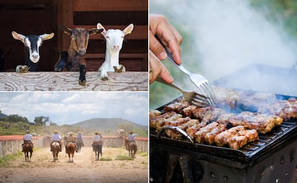 Singuilucan celebra el primer Festival Cordero Villamelón con una jornada agro-turística 