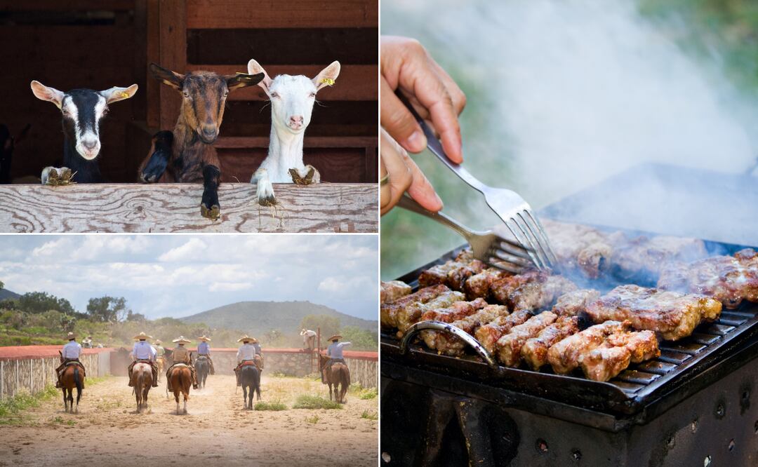 Imágenes ilustrativas