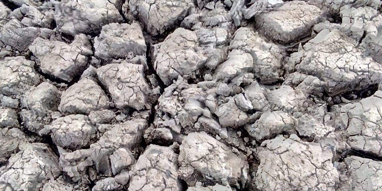 Foto: Archivo El Universal