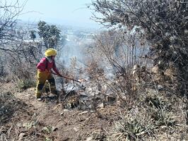Dos incendios de Pachuca; descartan personas lesionadas