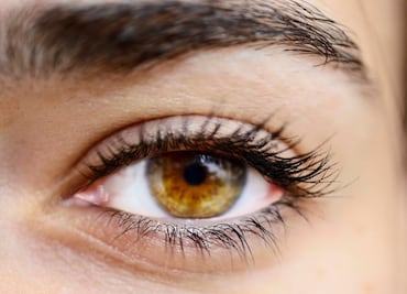 Qué es WorldCoin, app que da dinero por leer el iris