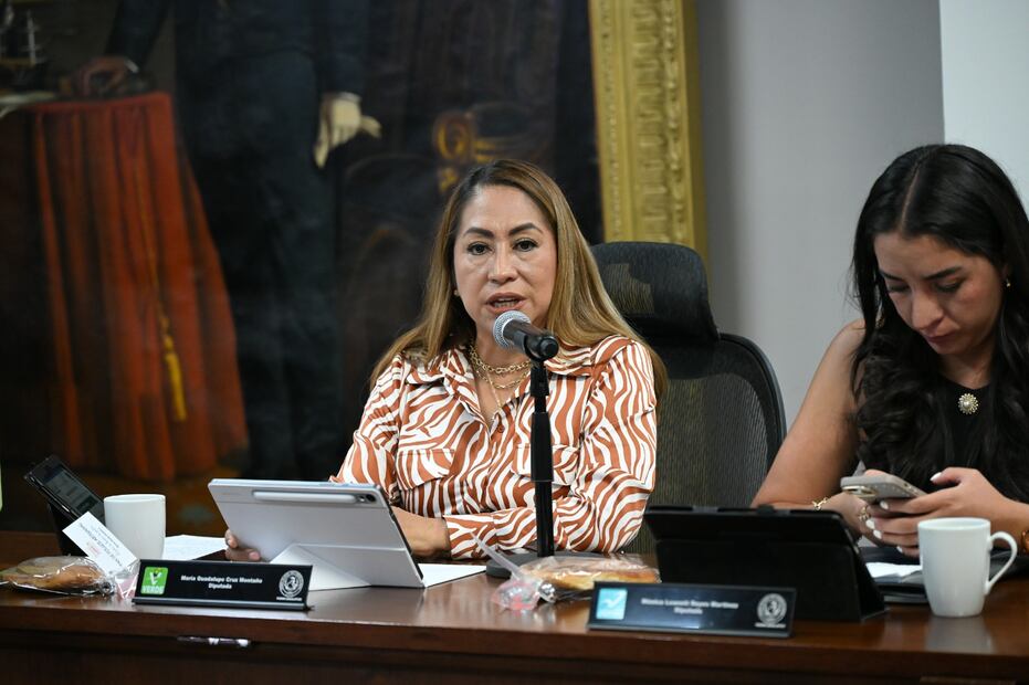 María Guadalupe Cruz Montaño, diputada local I Foto: Especial