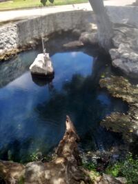 Advierten de daños a veneros de agua por trabajos Pemex