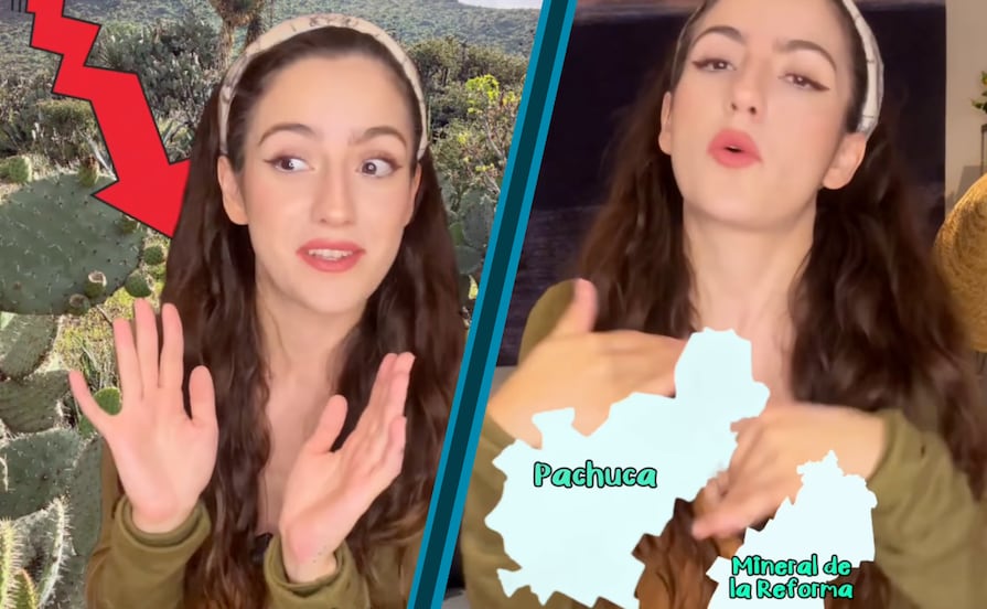 Buscan frenar posible cambio de uso de suelo en el Cerro de Cubitos; influencer hidalguense llama a movilizarse