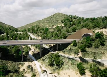 Revelan avances de los viaductos en la Real del Monte - Huasca
