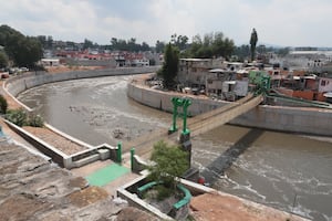 Exigen asegurar sobrevivencia de árboles durante saneamiento de ríos Tula y Salado