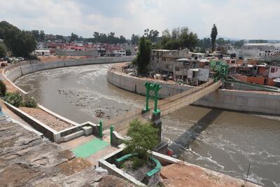 Exigen asegurar sobrevivencia de árboles durante saneamiento de ríos Tula y Salado