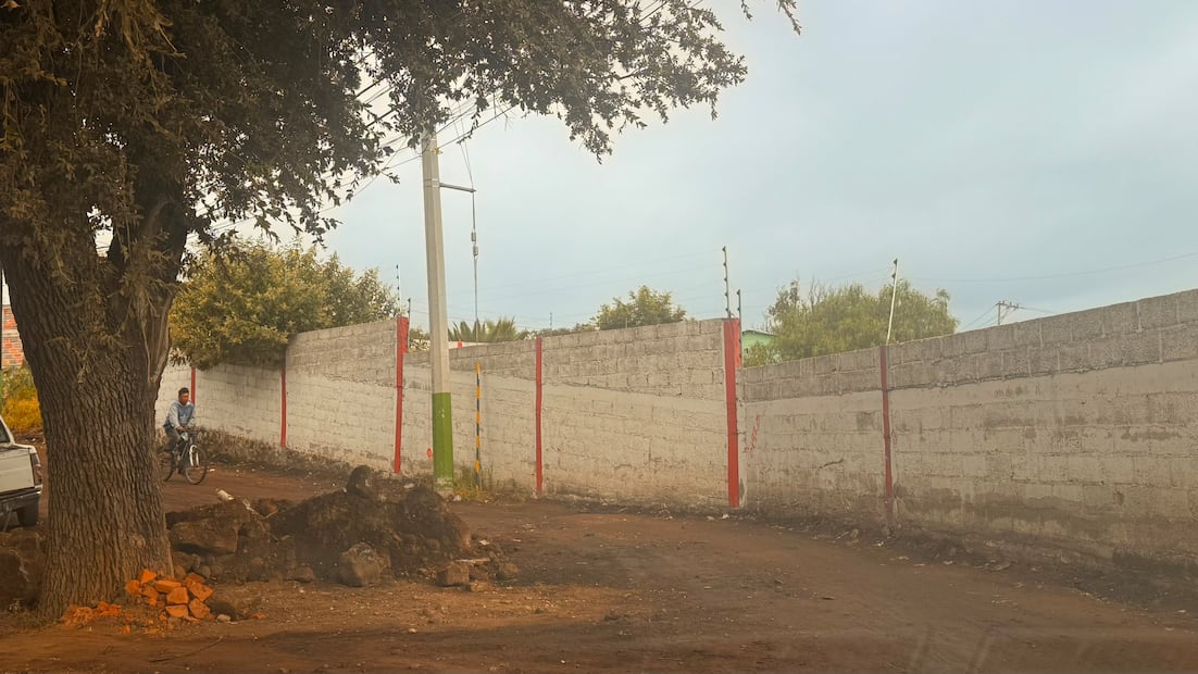 Vecinos de Cuautepec se oponen al derribo de encino de 300 años | Foto: especial
