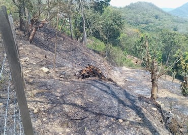 Presuntos drogadictos provocan incendio de parcelas en comunidad de Huejutla