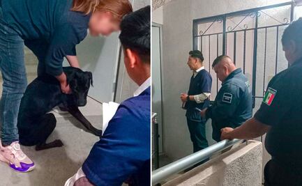 Rescatan a perro y gato en condiciones inadecuadas en Mineral de la Reforma