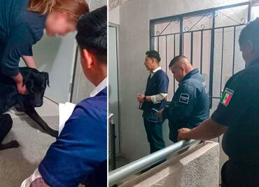 Rescatan a perro y gato en condiciones inadecuadas en Mineral de la Reforma