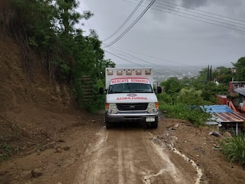 Adulto mayor sobrevive a picaduras de abejas; grave fue enviado al IMSS