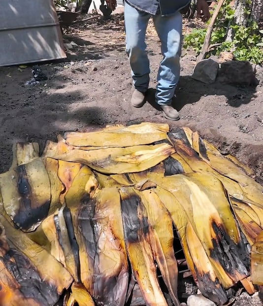 Mole horneado, un platillo tradicional de Santiago de Anaya preparado por Doña Claudia Hernández I Foto: Gerardo Campa