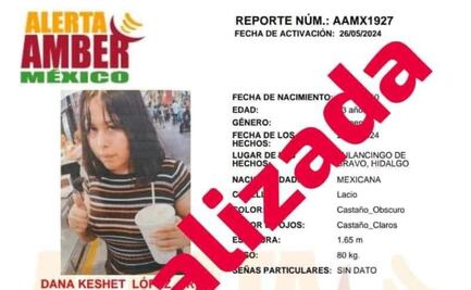 Desactivan la ficha de búsqueda de Dana ’N’