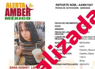 Desactivan la ficha de búsqueda de Dana ’N’