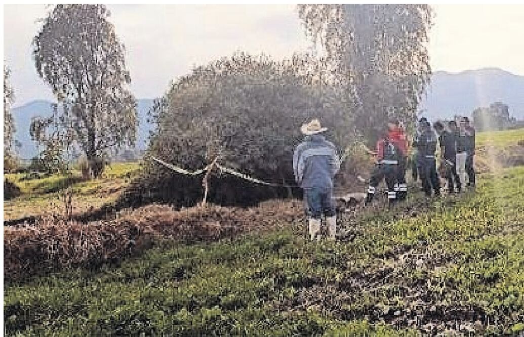 El cuerpo de la criatura fue hallado en un canal de riego, ubicado en Francisco I. Madero.