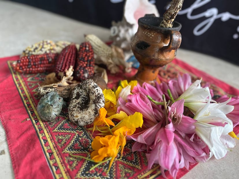 Presentan ruta ecoturística “Vinos, montañas y flores” entre Acaxochitlán y Huauchinango | Foto: Tursimo Hidalgo