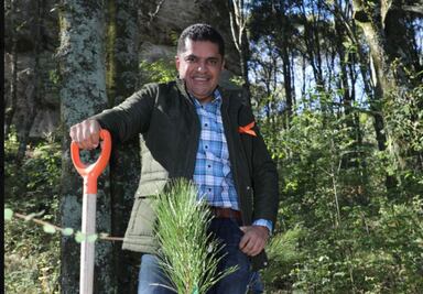 Piden servicio social contra el heno motita