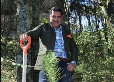 Piden servicio social contra el heno motita