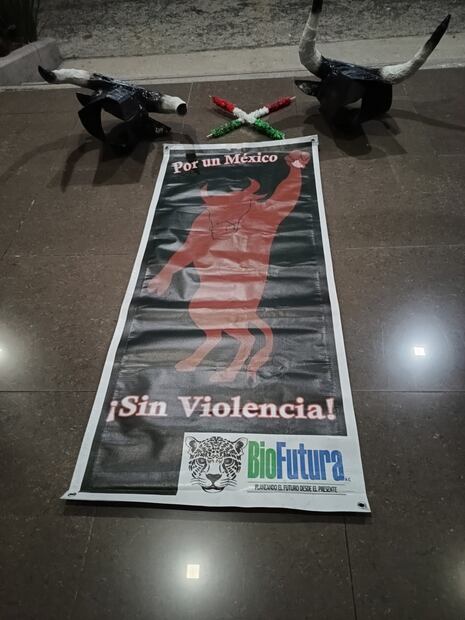 Congreso de Hidalgo amplía plazo para analizar iniciativa contra la tauromaquia | Foto: Lourdes Naranjo