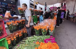 Don Valentín mantiene viva la tradición de vender flores para Día de Muertos