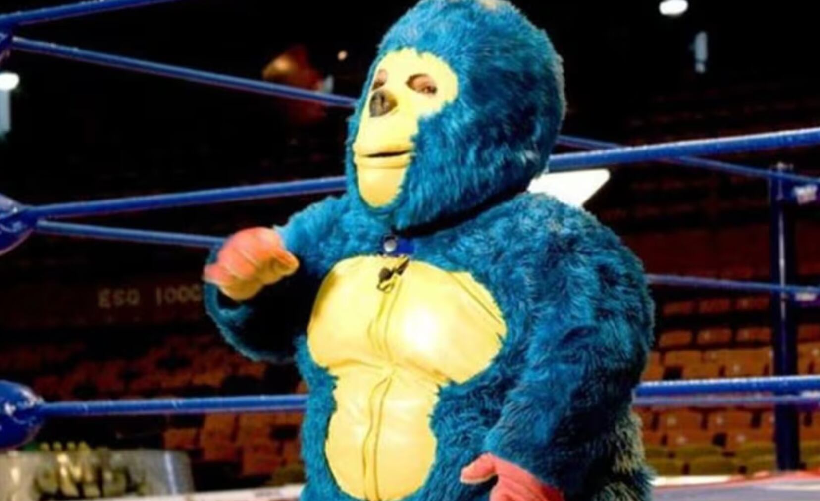 Kemonito, emblemático luchador mexicano podría despedirse de su ...