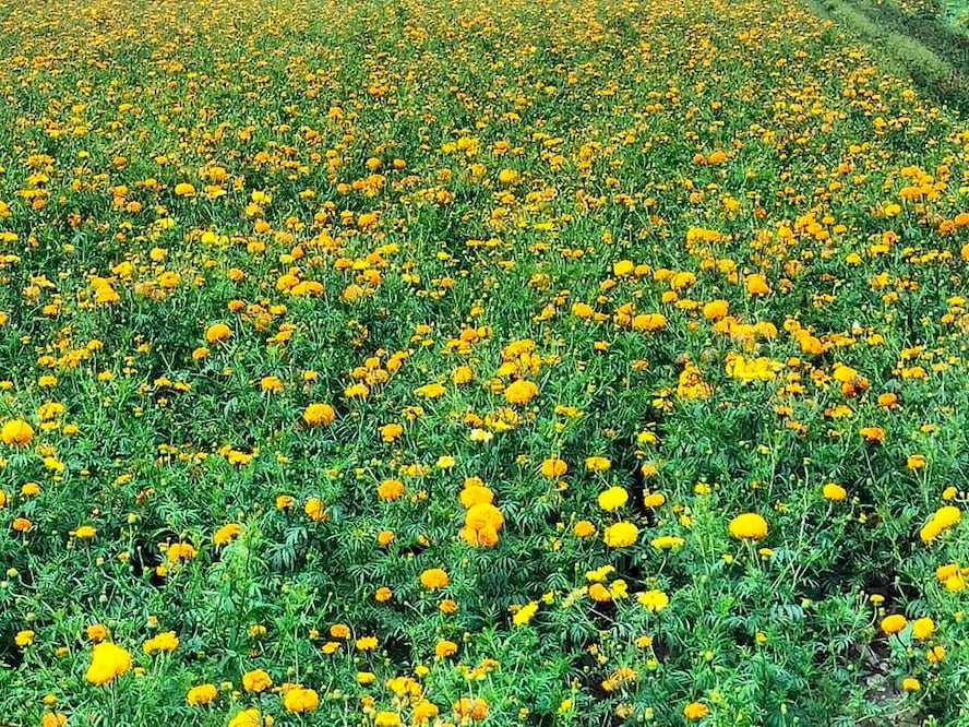 Facebook: Rancho Los Álamos