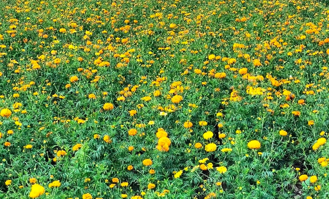 Facebook: Rancho Los Álamos