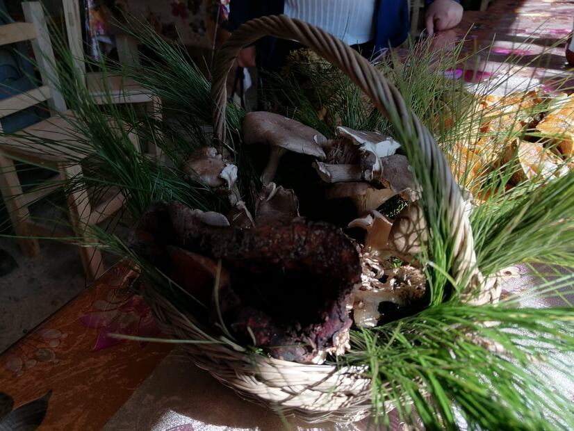 En la comunidad los Reyes, perteneciente al municipio de Acaxochitlán se aperturó la Casa de las Hongueras, proyecto de cocina ancestral integrada por cuatro mujeres indígenas I Foto: Grisel Lira