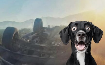 Vuelca camioneta en la Actopan–Ixmiquilpan tras esquivar a un perro