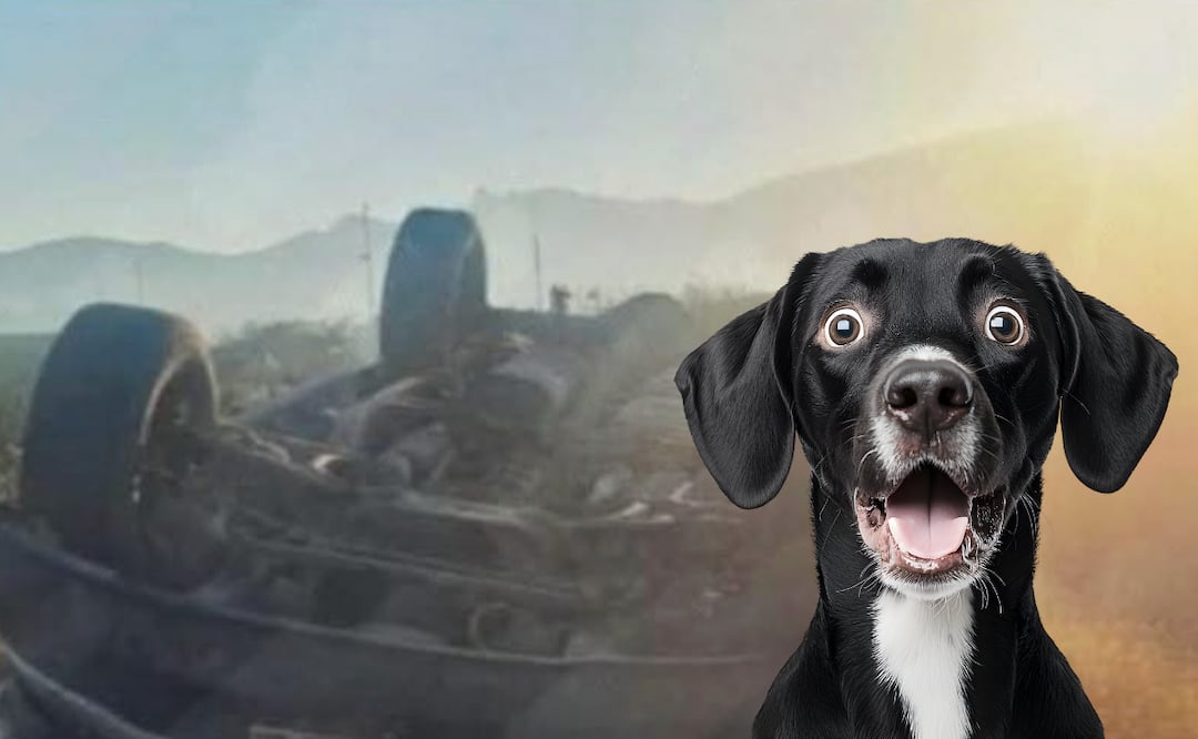 Accidente vial | Foto: especial