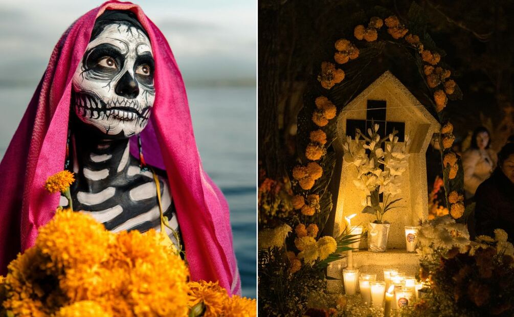 ¿Sabías que el cempasúchil que conocemos no es el único que florece en Hidalgo? Fotos: Pexels