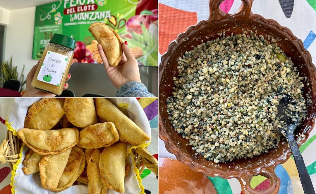 Fotos: Turismo Hidalgo