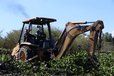 Avanza la recuperación de la Presa Endhó en Hidalgo con acciones ambientales concretas