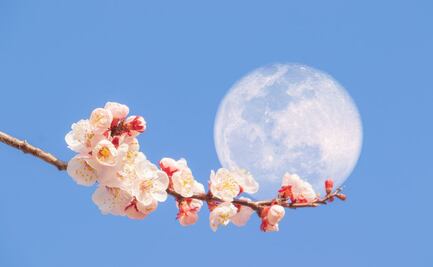 Luna de Flores 2024: ¿Cuándo será el evento astronómico de mayo?