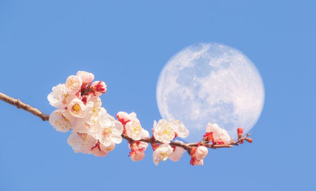 En esta fase, la Luna se encuentra detrás de la Tierra respecto al Sol y su cara está totalmente iluminada | Imagen ilustrativa