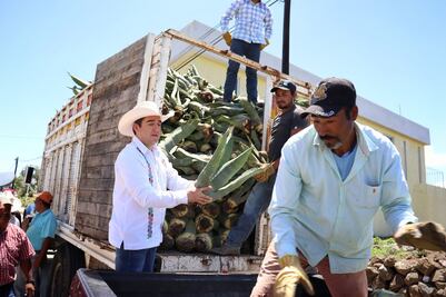 Entregan hijuelos de maguey para impulsar el desarrollo agrícola en Zempoala