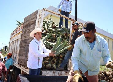 Entregan hijuelos de maguey para impulsar el desarrollo agrícola en Zempoala