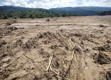 Colapso de puentes deja incomunicadas a 18 comunidades en Huautla; familias lo perdieron todo