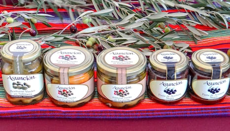 Expo Oliva: Celebrando la riqueza del olivo en Ixmiquilpan