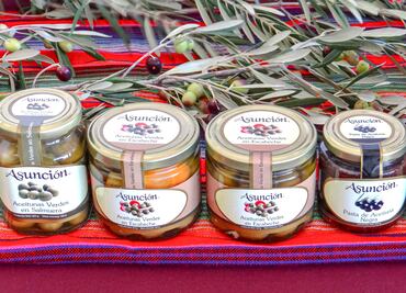 Expo Oliva: Celebrando la riqueza del olivo en Ixmiquilpan