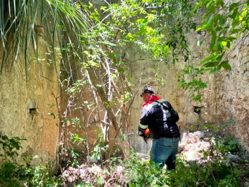 En el municipio de Nicolás Flores se realizan labores de rescate de las ruinas históricas de la fundidora conocida como Ferrería de Guadalupe, ubicada en la comunidad de Itatlaxco I Foto: Especial