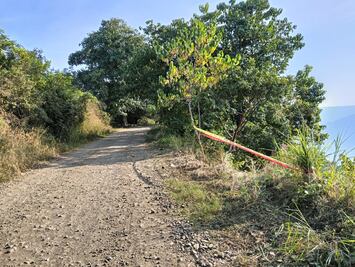 Rescatan a conductor de camión de volteo tras caer a barranco de 100 metros en Yahualica