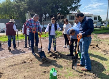 Reforestarán seis hectáreas de áreas verdes del IMSS en Hidalgo
