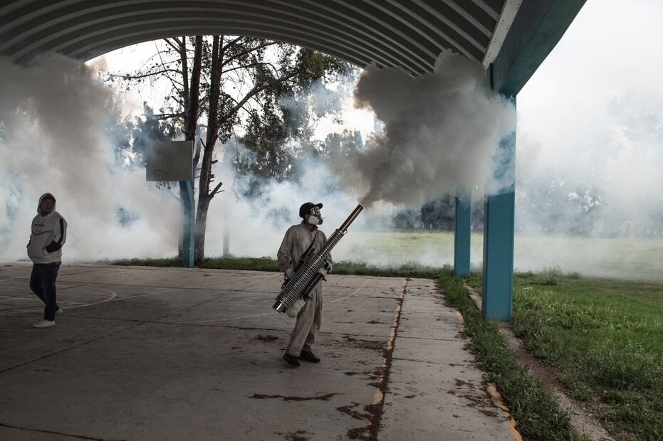 Fumigan más de 40 escuelas en Tepetitlán por presencia de mosco Culex | Foto: especial